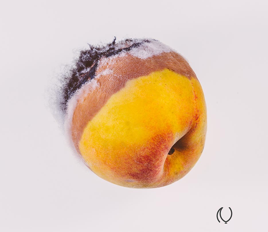 Rotten-Fruit-Portrait-Fine-Art-Luxury-Lifestyle-Photographer-Naina.co-Raconteuse