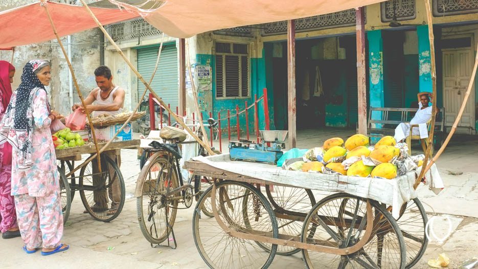 Village-Visit-Haryana-Lifestyle-Travel-Raconteuse-Naina.co-Photographer-2013