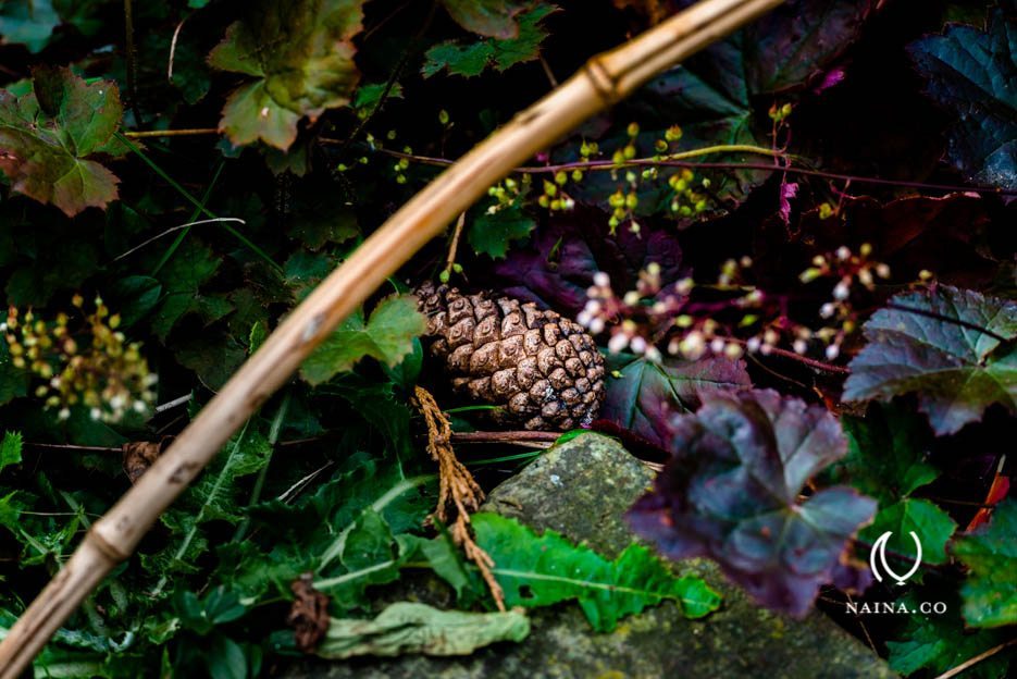 EyesForLondon-Kew-Botanical-Gardens-England-Naina.co-Raconteuse-Art-Nature-Photographer