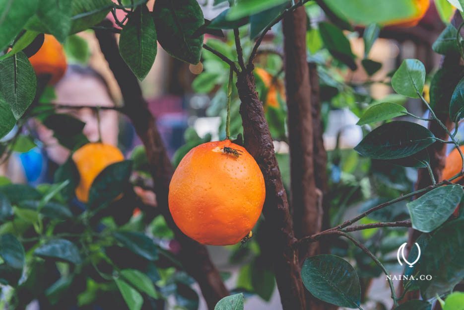 EyesForLondon-Old-Spitalfields-Market-Visit-London-Naina.co-Raconteuse-Photographer-Travel