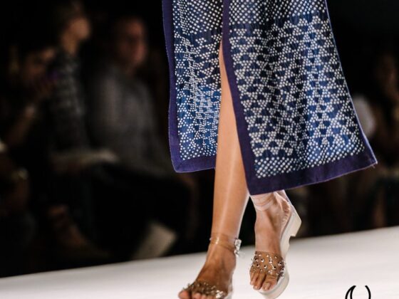 WIFWSS14-Naina.co-Rahul-Mishra-Wills-Lifestyle-India-Fashion-Week-Spring-Summer-2014-Raconteuse