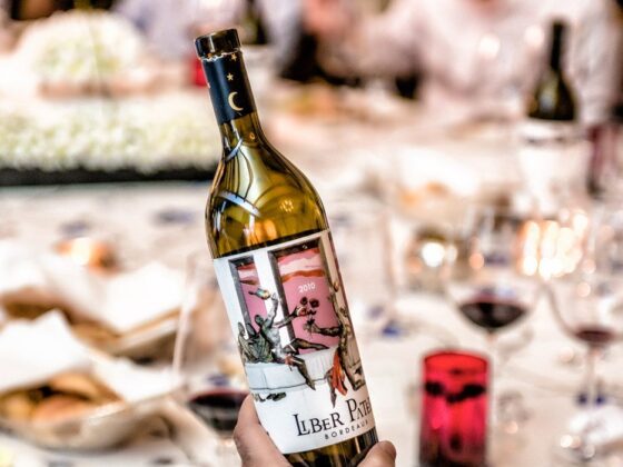 FineWineForum-Drayton-Ishaan-Ahuja-Liber-Pater-Bordeaux-Naina.co-Visuelle-Raconteuse-Storyteller-Photographer