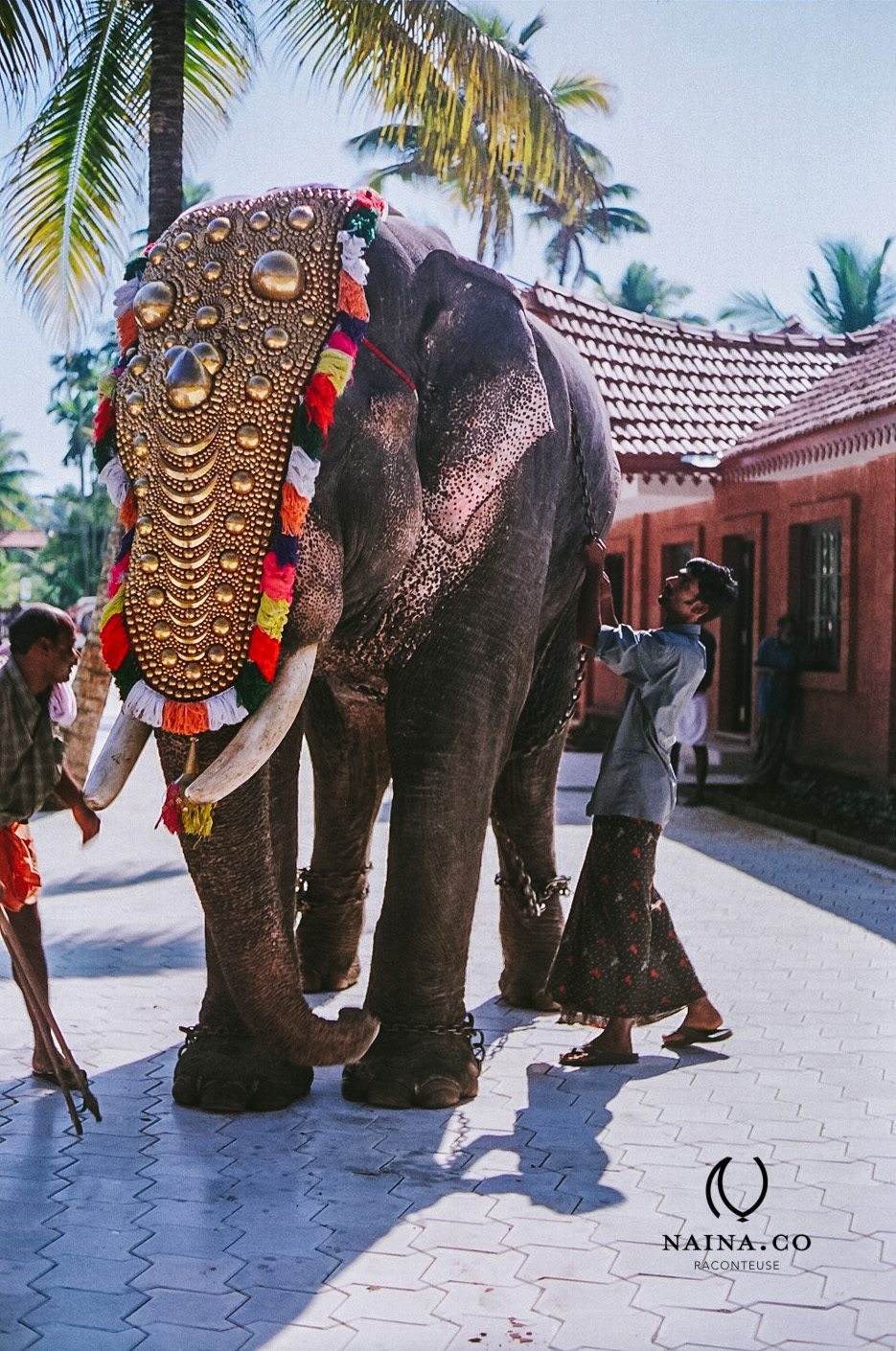 Kerala-Blog-Express-Entry-Naina-Redhu-Naina.co-Raconteuse-Luxury-Storyteller-Travel-Photographer