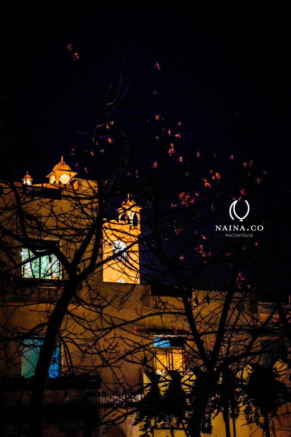 Naina.co-January-2014-Le-Meridien-Starwood-Jaipur-Literature-Festival-Unlock-Art-Raconteuse-Luxury-Storyteller-Photographer-01