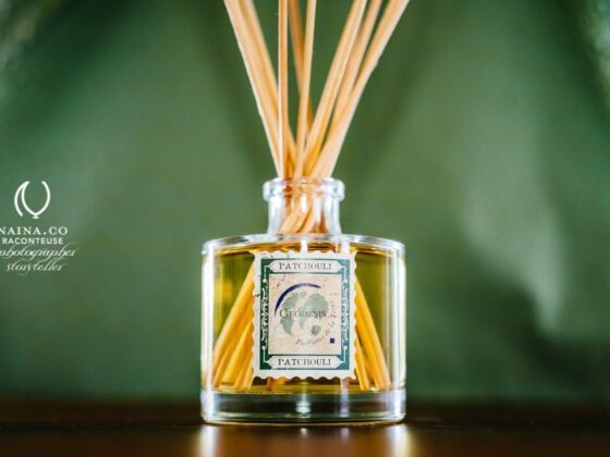 Naina.co-Feb2014-Geodesis-Patchouli-Reed-Diffuser-GoodEarth-Luxury-Raconteuse-Photographer-Storyteller-Fragrance-Lifestyle-France