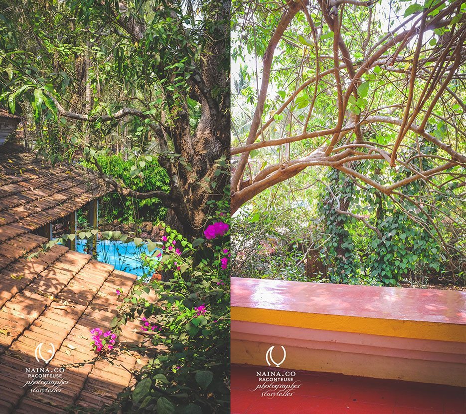 Naina.co-April-2014-Wendell-Rodricks-Photographer-Storyteller-La-Raconteuse-Visuelle-Goa