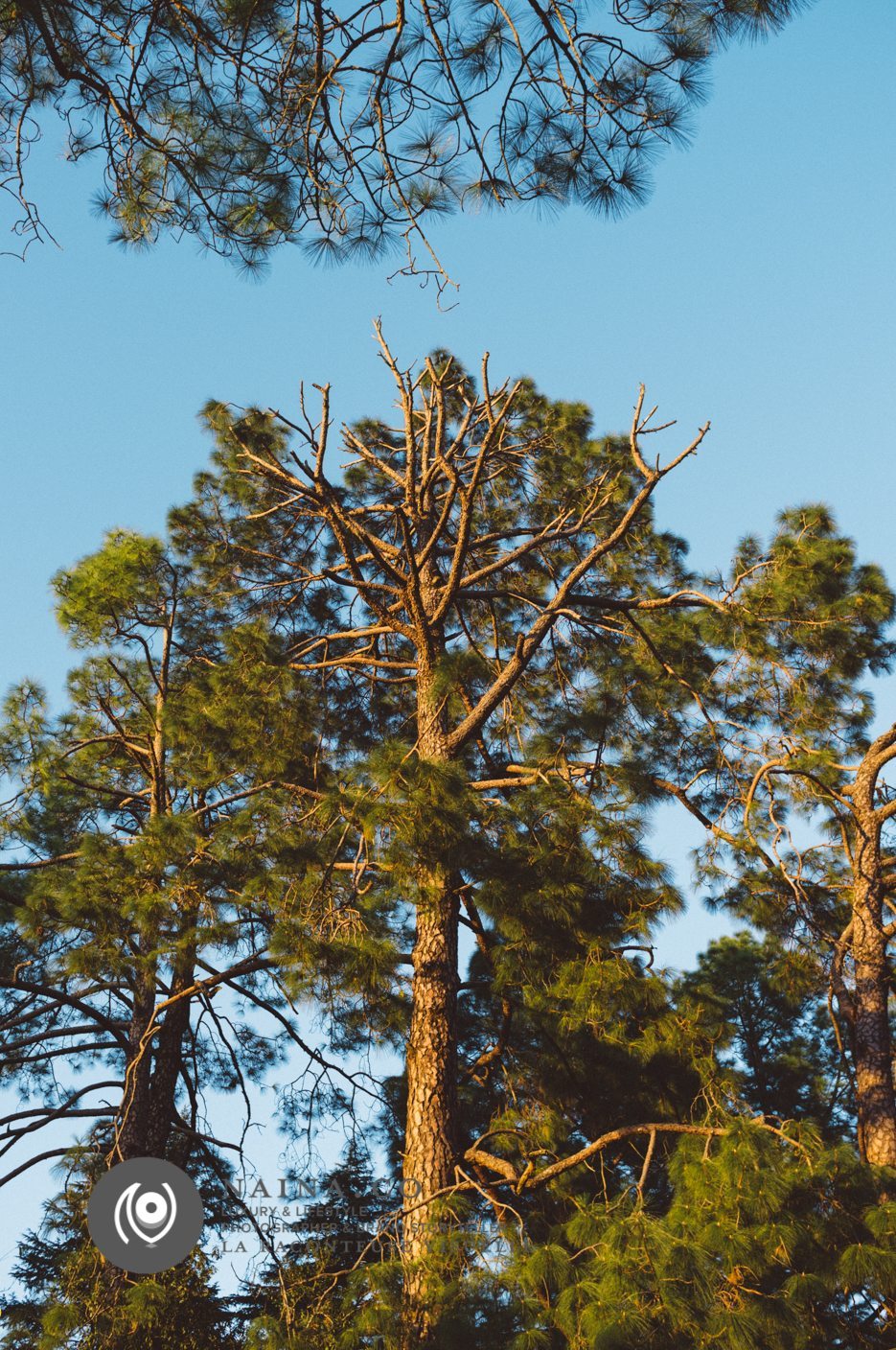 Naina.co-Photographer-Raconteuse-Storyteller-Luxury-Lifestyle-October-2014-VSCO-Film-06-Lightroom-01