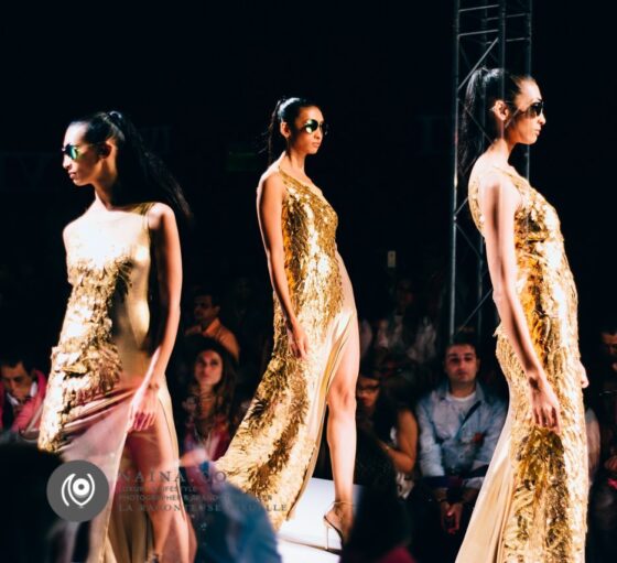 Naina.co-Photographer-Raconteuse-Storyteller-Luxury-Lifestyle-October-2014-WIFWSS15-EyesForFashion-Saaj-By-Ankita