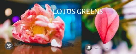 Naina.co-Photographer-Raconteuse-Storyteller-Luxury-Lifestyle-September-2014-Lotus-Greens-Real-Estate-Launch