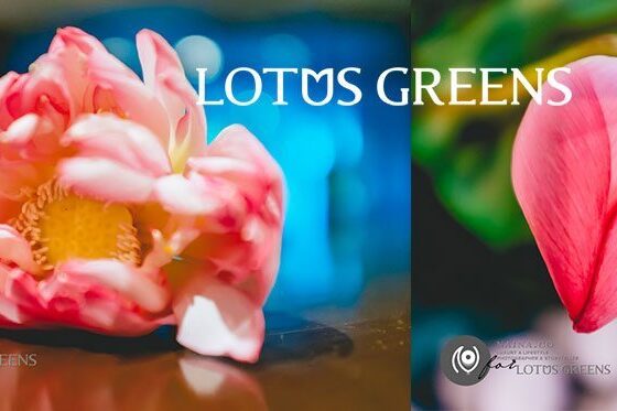 Naina.co-Photographer-Raconteuse-Storyteller-Luxury-Lifestyle-September-2014-Lotus-Greens-Real-Estate-Launch