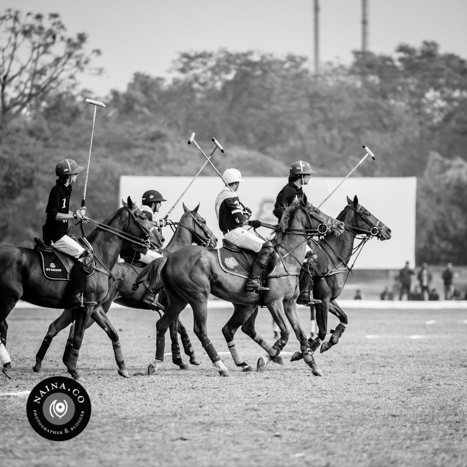 Naina.co-Raconteuse-Visuelle-Photographer-Blogger-Storyteller-Luxury-Lifestyle-January-2015-St.Regis-Polo-Cup-Maharaja-Jaipur