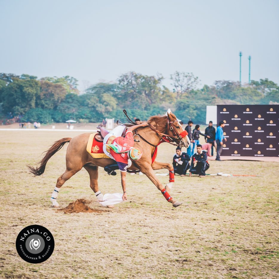 Naina.co-Raconteuse-Visuelle-Photographer-Blogger-Storyteller-Luxury-Lifestyle-January-2015-St.Regis-Polo-Cup-Maharaja-Jaipur