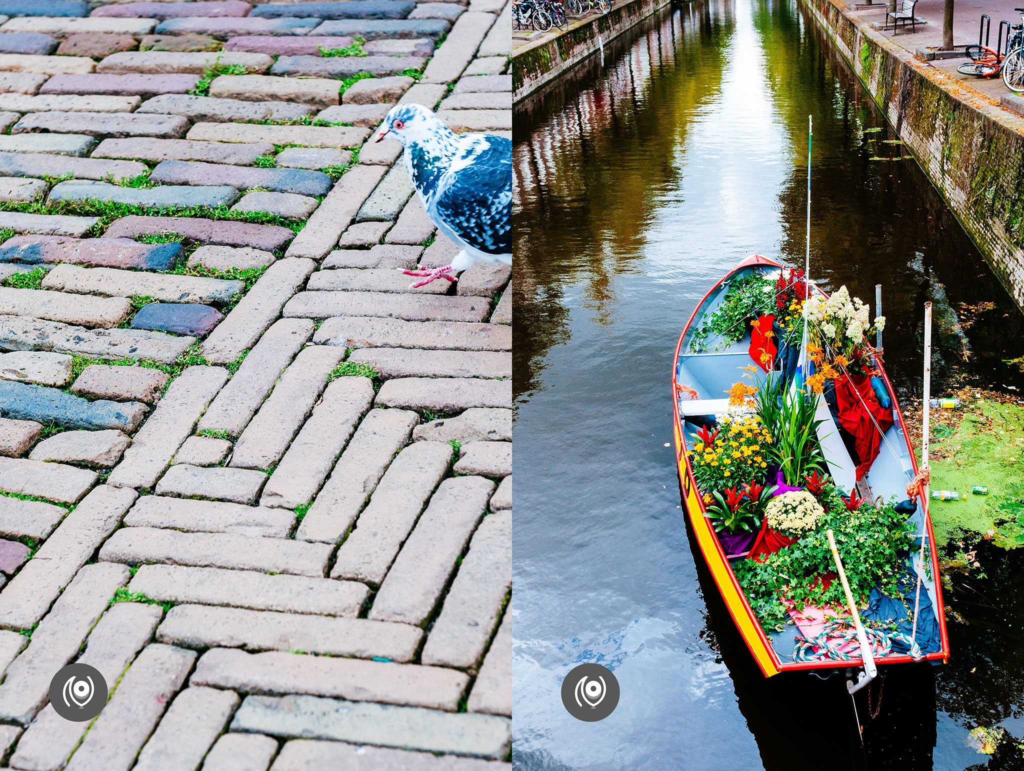 Delft, Netherlands, #EyesForEurope, #EyesForDestinations, Naina.co Luxury & Lifestyle, Photographer Storyteller, Blogger. 