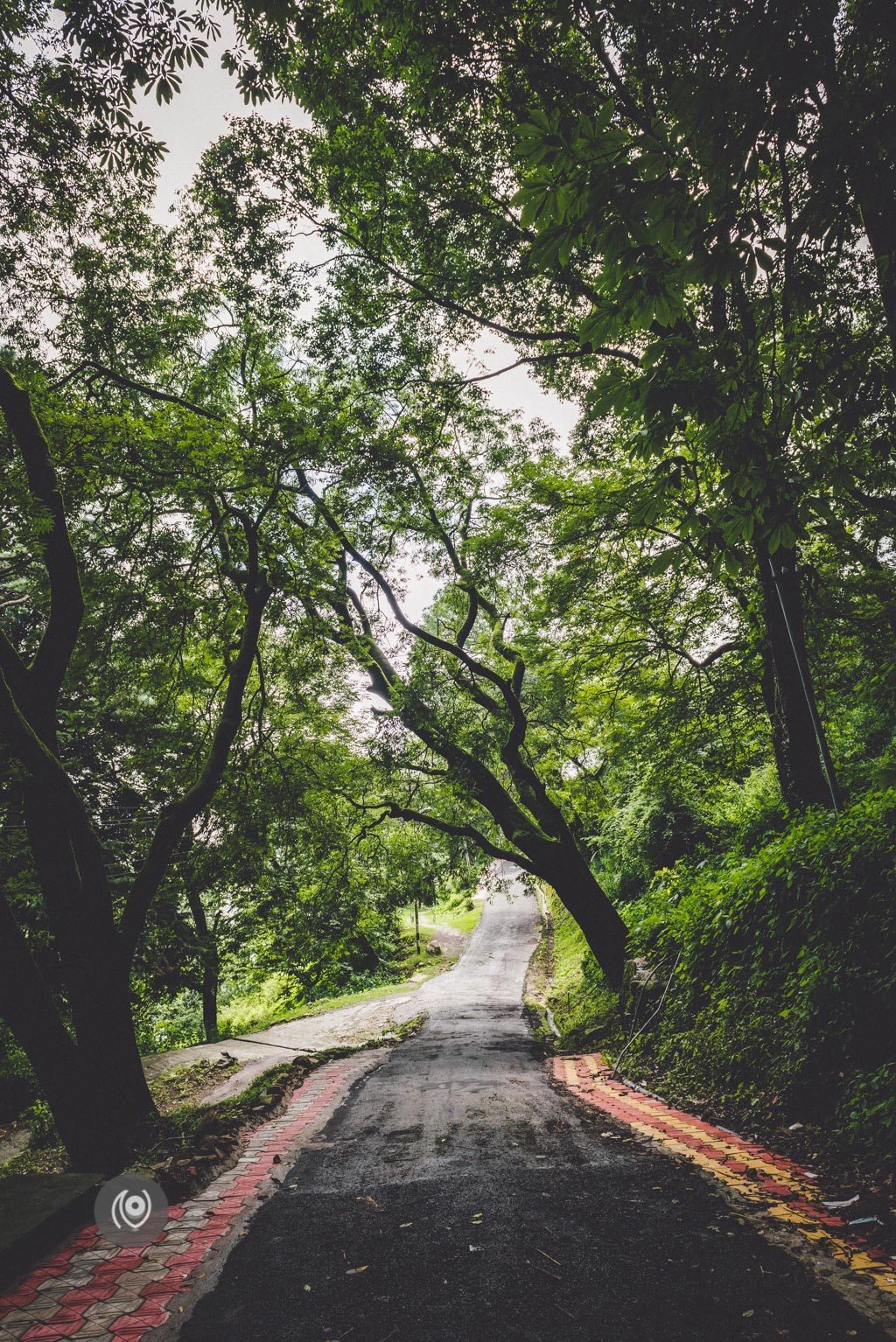 Picnic, Holiday Home, #REDHUxKASAULI #EyesForDestinations, Naina.co Luxury & Lifestyle Photographer, Blogger Storyteller