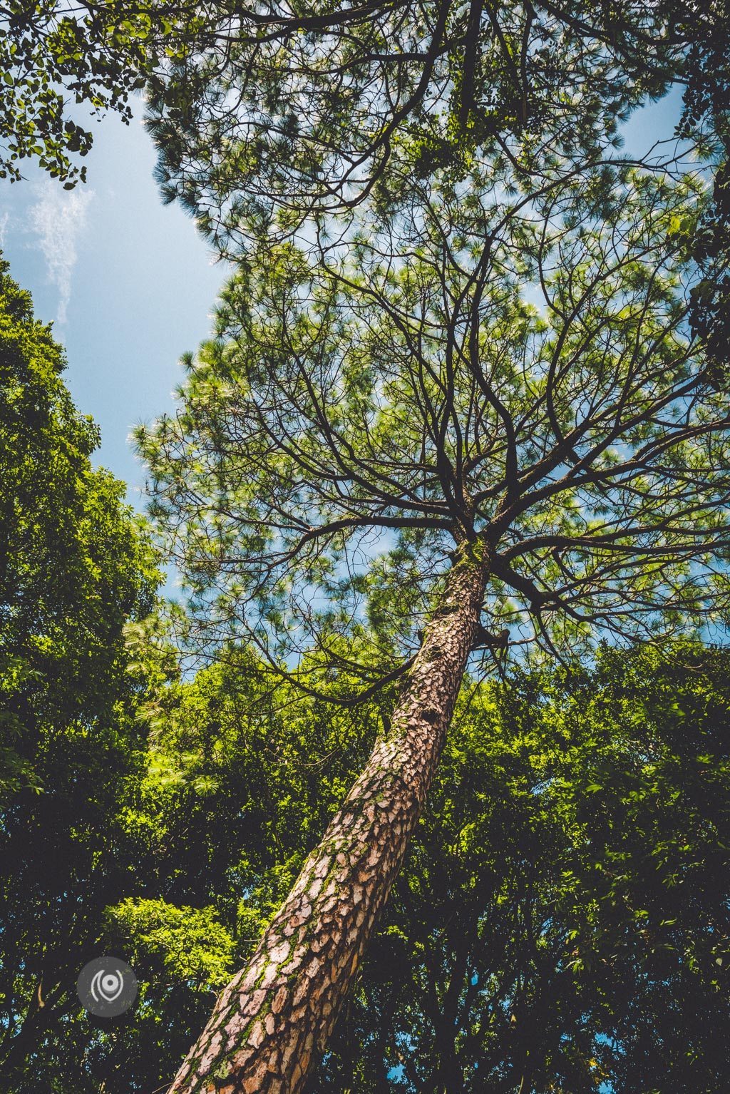 Picnic, Holiday Home, #REDHUxKASAULI #EyesForDestinations, Naina.co Luxury & Lifestyle Photographer, Blogger Storyteller