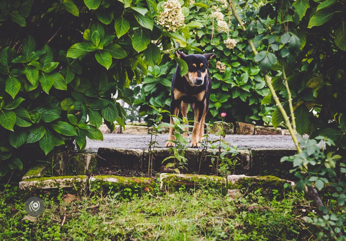 Picnic, Holiday Home, #REDHUxKASAULI #EyesForDestinations, Naina.co Luxury & Lifestyle Photographer, Blogger Storyteller