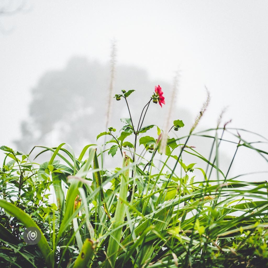 Picnic, Holiday Home, #REDHUxKASAULI #EyesForDestinations, Naina.co Luxury & Lifestyle Photographer, Blogger Storyteller