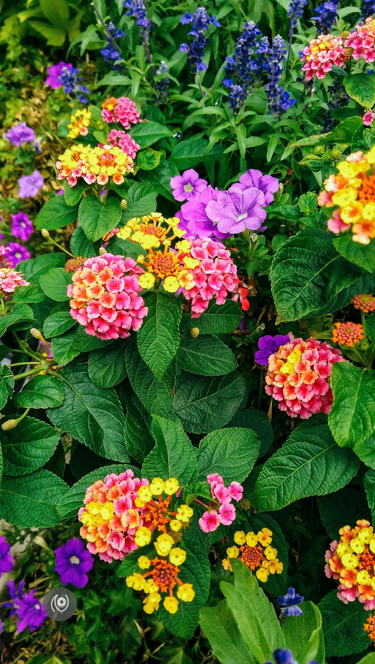 Labour Day Weekend, Central Park NYC #EyesForNewYork #REDHUxNYC #REDHUxAIRBNB Naina.co Luxury & Lifestyle, Photographer Storyteller, Blogger