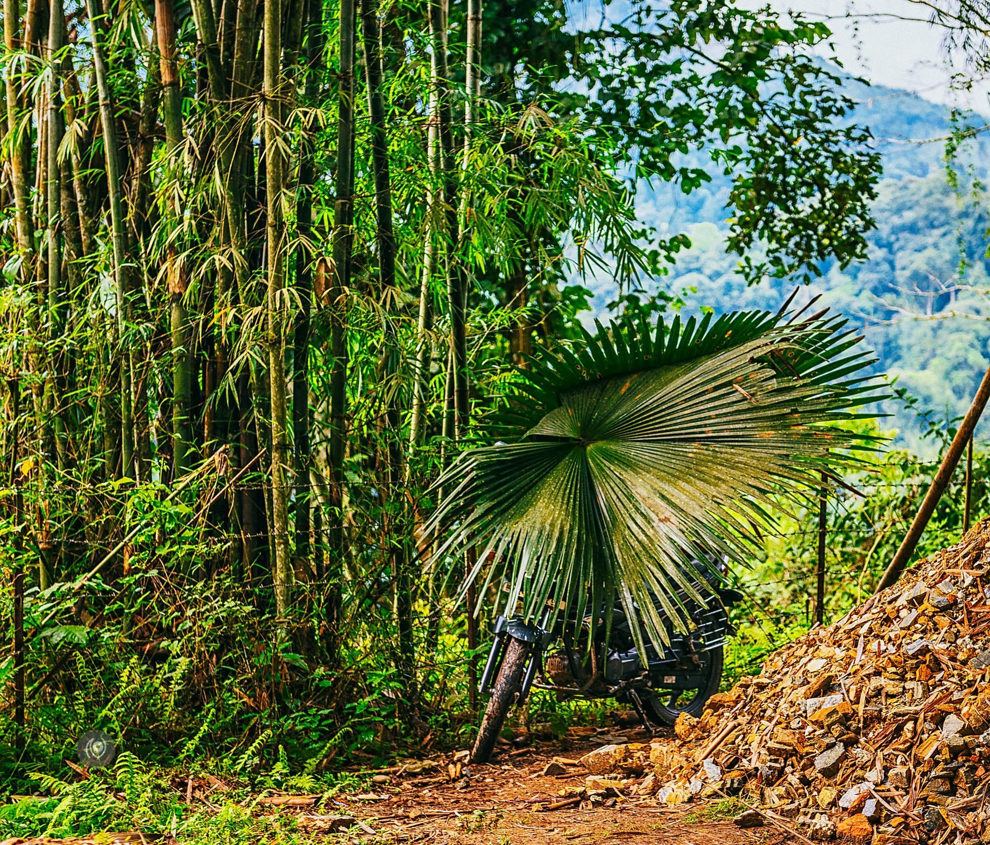 Landscape, #EyesForArunachal, Naina.co, Luxury Photographer, Lifestyle Photographer, Travel Photographer, Fashion Photographer, Naina Redhu, #EyesForDestinations, #EyesForIndia, Destination Photographer, India, Arunachal Pradesh, Experience Collector, Photo Story, Visual Experience Collector, Aalong, Aalo, Menchukha, Dorjeeling, Yorlung