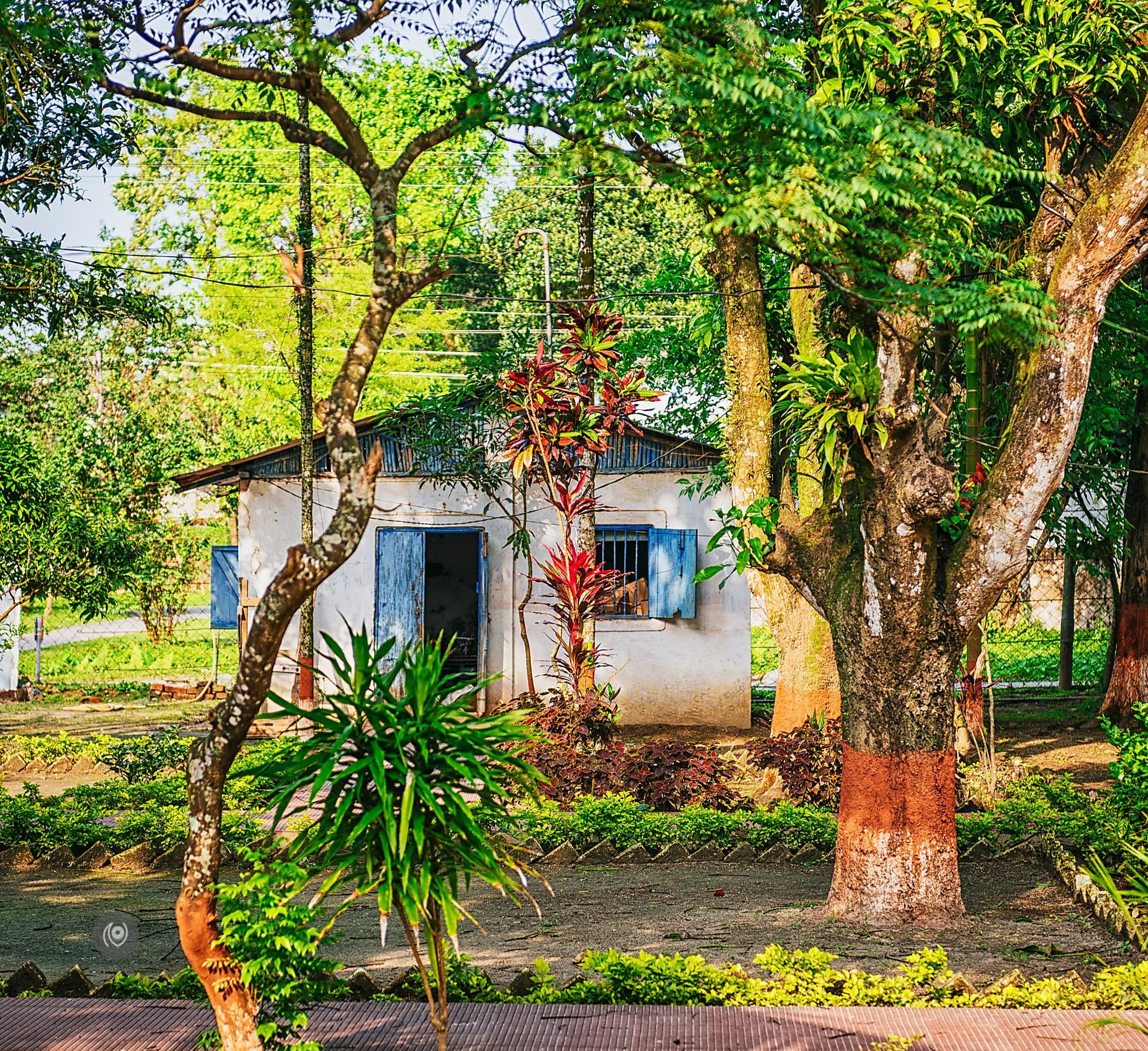 Landscape, #EyesForArunachal, Naina.co, Luxury Photographer, Lifestyle Photographer, Travel Photographer, Fashion Photographer, Naina Redhu, #EyesForDestinations, #EyesForIndia, Destination Photographer, India, Arunachal Pradesh, Experience Collector, Photo Story, Visual Experience Collector, Aalong, Aalo, Menchukha, Dorjeeling, Yorlung