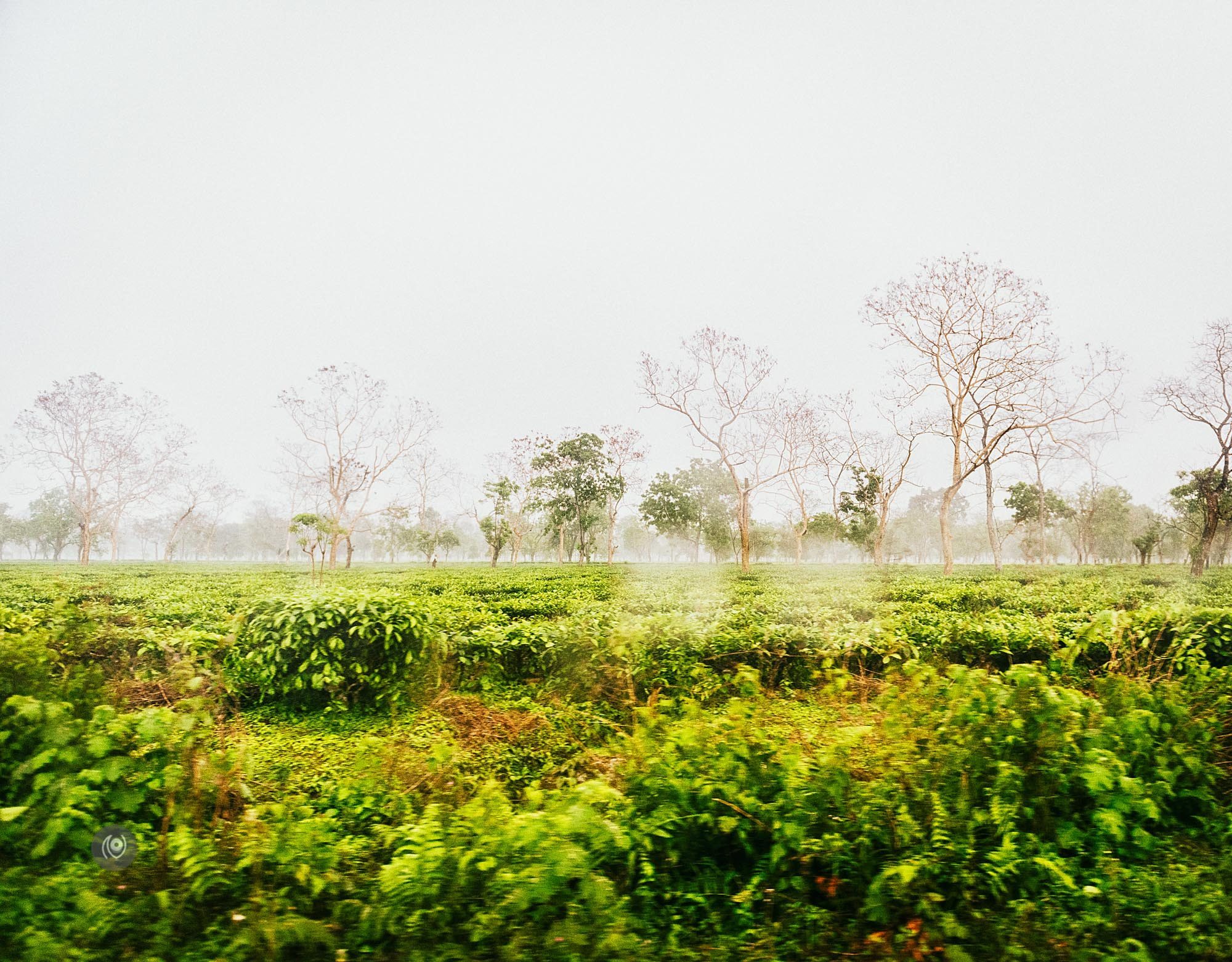 Landscape, #EyesForArunachal, Naina.co, Luxury Photographer, Lifestyle Photographer, Travel Photographer, Fashion Photographer, Naina Redhu, #EyesForDestinations, #EyesForIndia, Destination Photographer, India, Arunachal Pradesh, Experience Collector, Photo Story, Visual Experience Collector, Aalong, Aalo, Menchukha, Dorjeeling, Yorlung