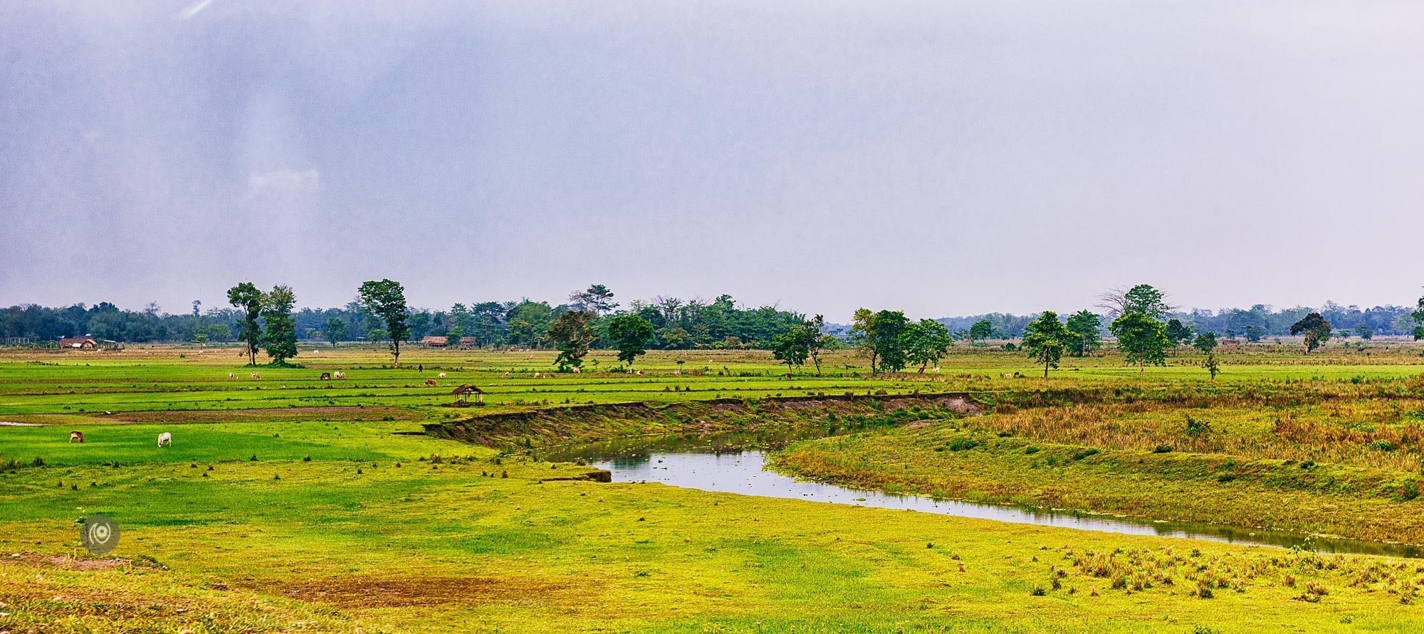 Landscape, #EyesForArunachal, Naina.co, Luxury Photographer, Lifestyle Photographer, Travel Photographer, Fashion Photographer, Naina Redhu, #EyesForDestinations, #EyesForIndia, Destination Photographer, India, Arunachal Pradesh, Experience Collector, Photo Story, Visual Experience Collector, Aalong, Aalo, Menchukha, Dorjeeling, Yorlung