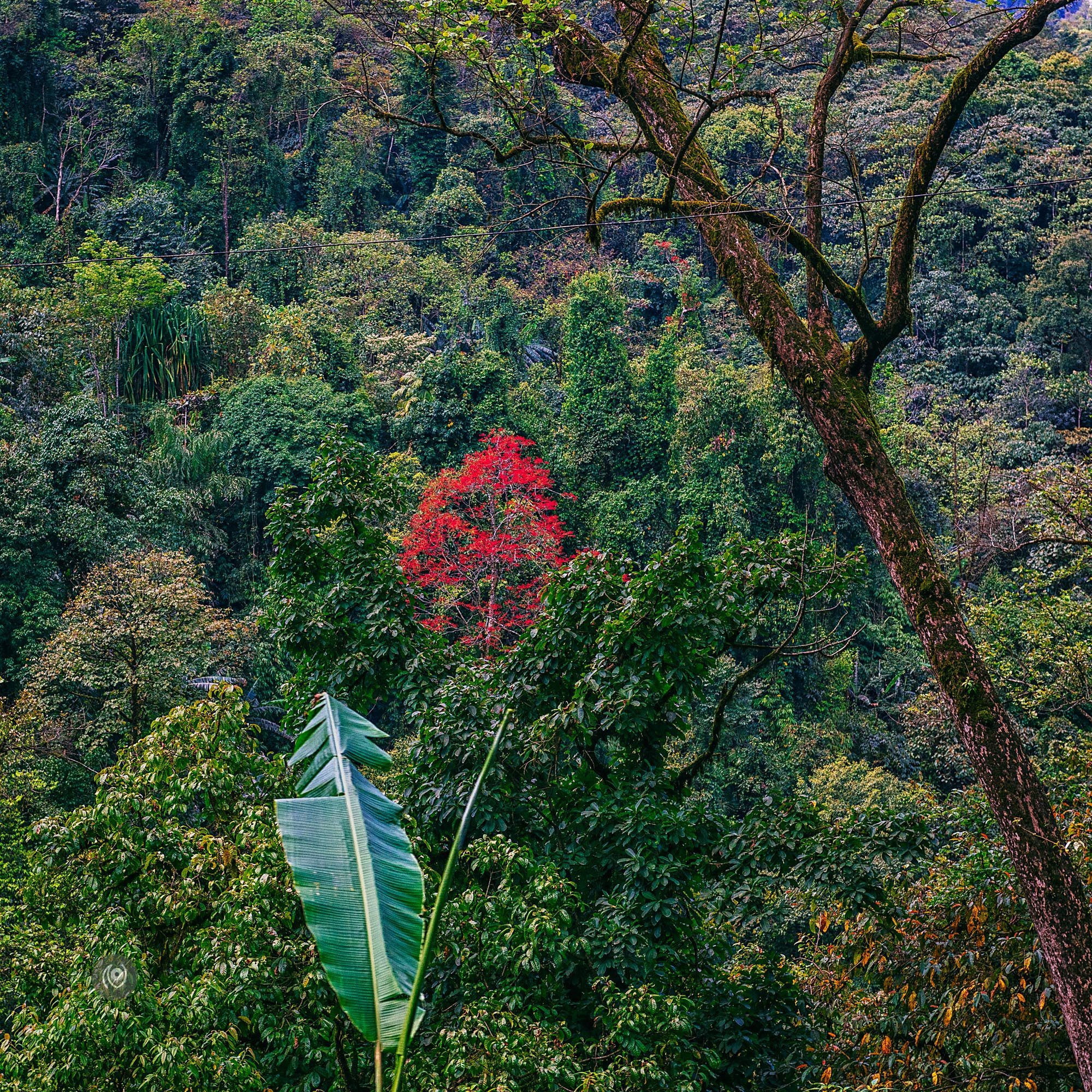 Landscape, #EyesForArunachal, Naina.co, Luxury Photographer, Lifestyle Photographer, Travel Photographer, Fashion Photographer, Naina Redhu, #EyesForDestinations, #EyesForIndia, Destination Photographer, India, Arunachal Pradesh, Experience Collector, Photo Story, Visual Experience Collector, Aalong, Aalo, Menchukha, Dorjeeling, Yorlung