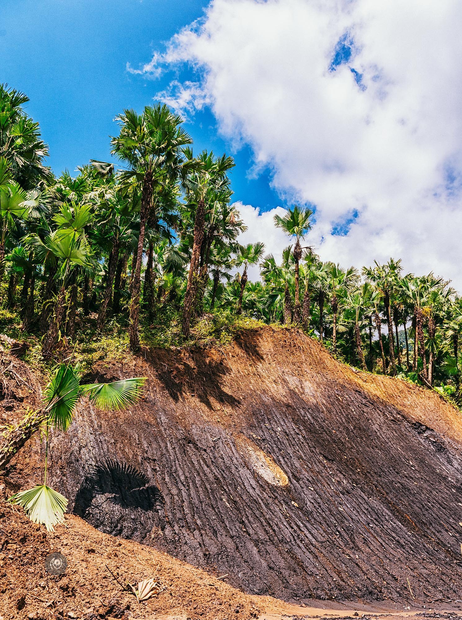 Landscape, #EyesForArunachal, Naina.co, Luxury Photographer, Lifestyle Photographer, Travel Photographer, Fashion Photographer, Naina Redhu, #EyesForDestinations, #EyesForIndia, Destination Photographer, India, Arunachal Pradesh, Experience Collector, Photo Story, Visual Experience Collector, Aalong, Aalo, Menchukha, Dorjeeling, Yorlung