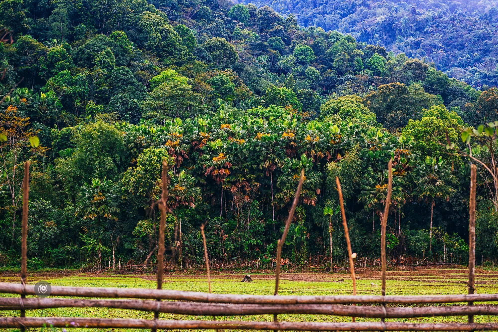 Landscape, #EyesForArunachal, Naina.co, Luxury Photographer, Lifestyle Photographer, Travel Photographer, Fashion Photographer, Naina Redhu, #EyesForDestinations, #EyesForIndia, Destination Photographer, India, Arunachal Pradesh, Experience Collector, Photo Story, Visual Experience Collector, Aalong, Aalo, Menchukha, Dorjeeling, Yorlung