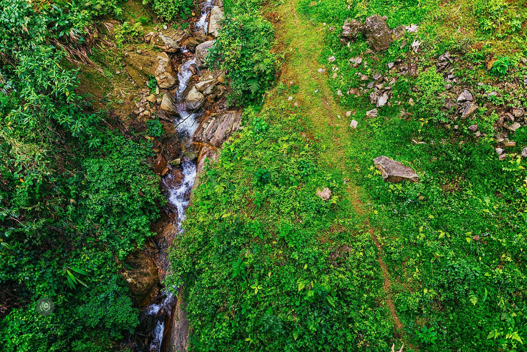 Landscape, #EyesForArunachal, Naina.co, Luxury Photographer, Lifestyle Photographer, Travel Photographer, Fashion Photographer, Naina Redhu, #EyesForDestinations, #EyesForIndia, Destination Photographer, India, Arunachal Pradesh, Experience Collector, Photo Story, Visual Experience Collector, Aalong, Aalo, Menchukha, Dorjeeling, Yorlung