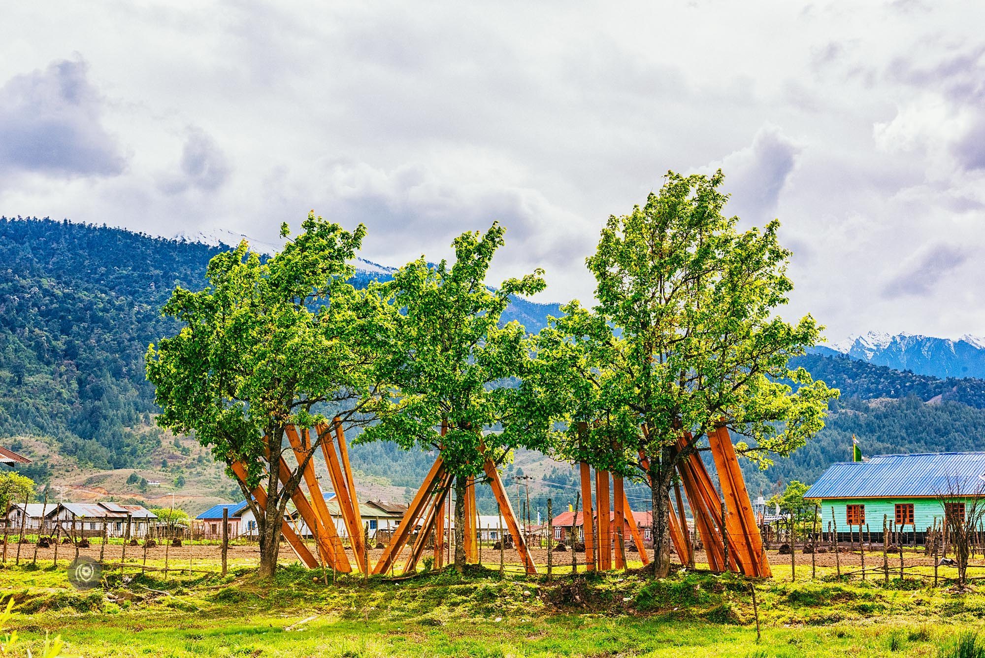 Landscape, #EyesForArunachal, Naina.co, Luxury Photographer, Lifestyle Photographer, Travel Photographer, Fashion Photographer, Naina Redhu, #EyesForDestinations, #EyesForIndia, Destination Photographer, India, Arunachal Pradesh, Experience Collector, Photo Story, Visual Experience Collector, Aalong, Aalo, Menchukha, Dorjeeling, Yorlung