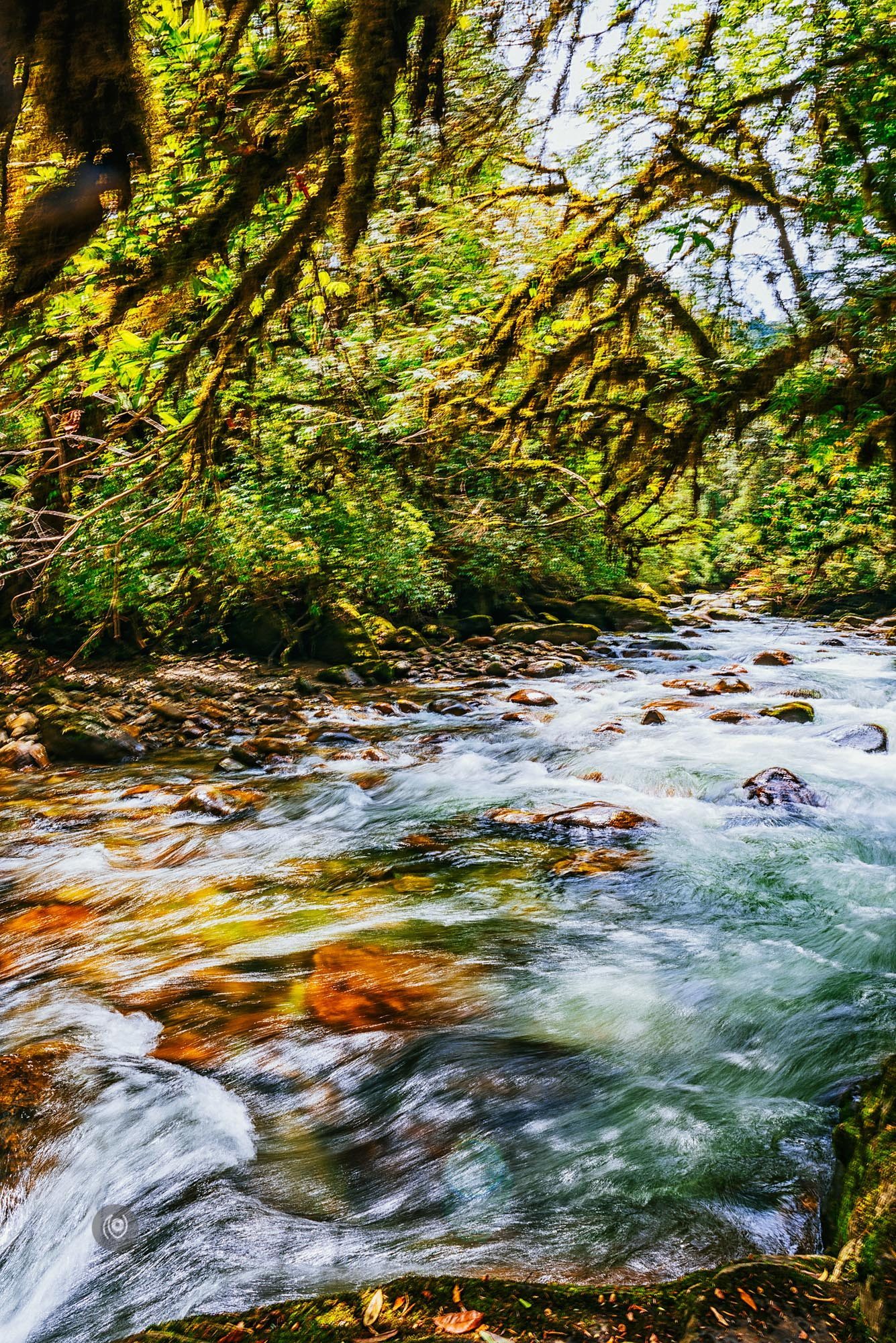 Landscape, #EyesForArunachal, Naina.co, Luxury Photographer, Lifestyle Photographer, Travel Photographer, Fashion Photographer, Naina Redhu, #EyesForDestinations, #EyesForIndia, Destination Photographer, India, Arunachal Pradesh, Experience Collector, Photo Story, Visual Experience Collector, Aalong, Aalo, Menchukha, Dorjeeling, Yorlung