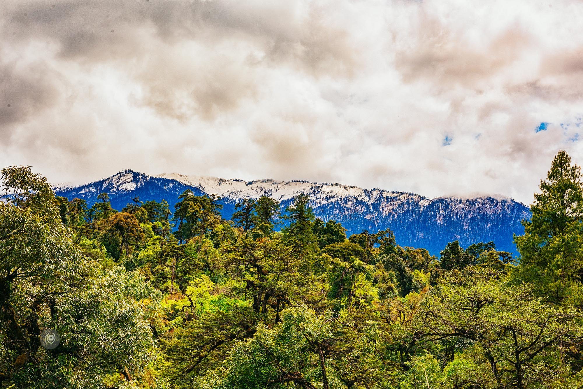 Landscape, #EyesForArunachal, Naina.co, Luxury Photographer, Lifestyle Photographer, Travel Photographer, Fashion Photographer, Naina Redhu, #EyesForDestinations, #EyesForIndia, Destination Photographer, India, Arunachal Pradesh, Experience Collector, Photo Story, Visual Experience Collector, Aalong, Aalo, Menchukha, Dorjeeling, Yorlung