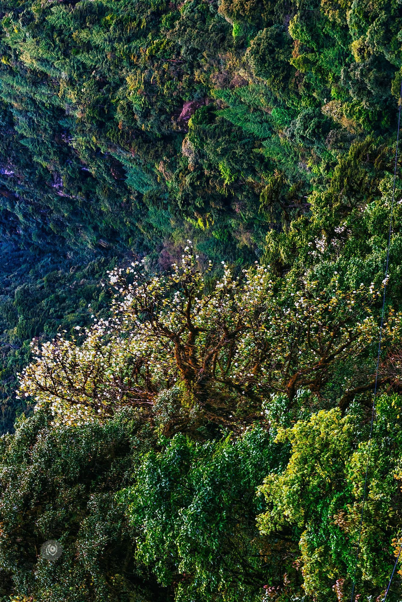 Landscape, #EyesForArunachal, Naina.co, Luxury Photographer, Lifestyle Photographer, Travel Photographer, Fashion Photographer, Naina Redhu, #EyesForDestinations, #EyesForIndia, Destination Photographer, India, Arunachal Pradesh, Experience Collector, Photo Story, Visual Experience Collector, Aalong, Aalo, Menchukha, Dorjeeling, Yorlung