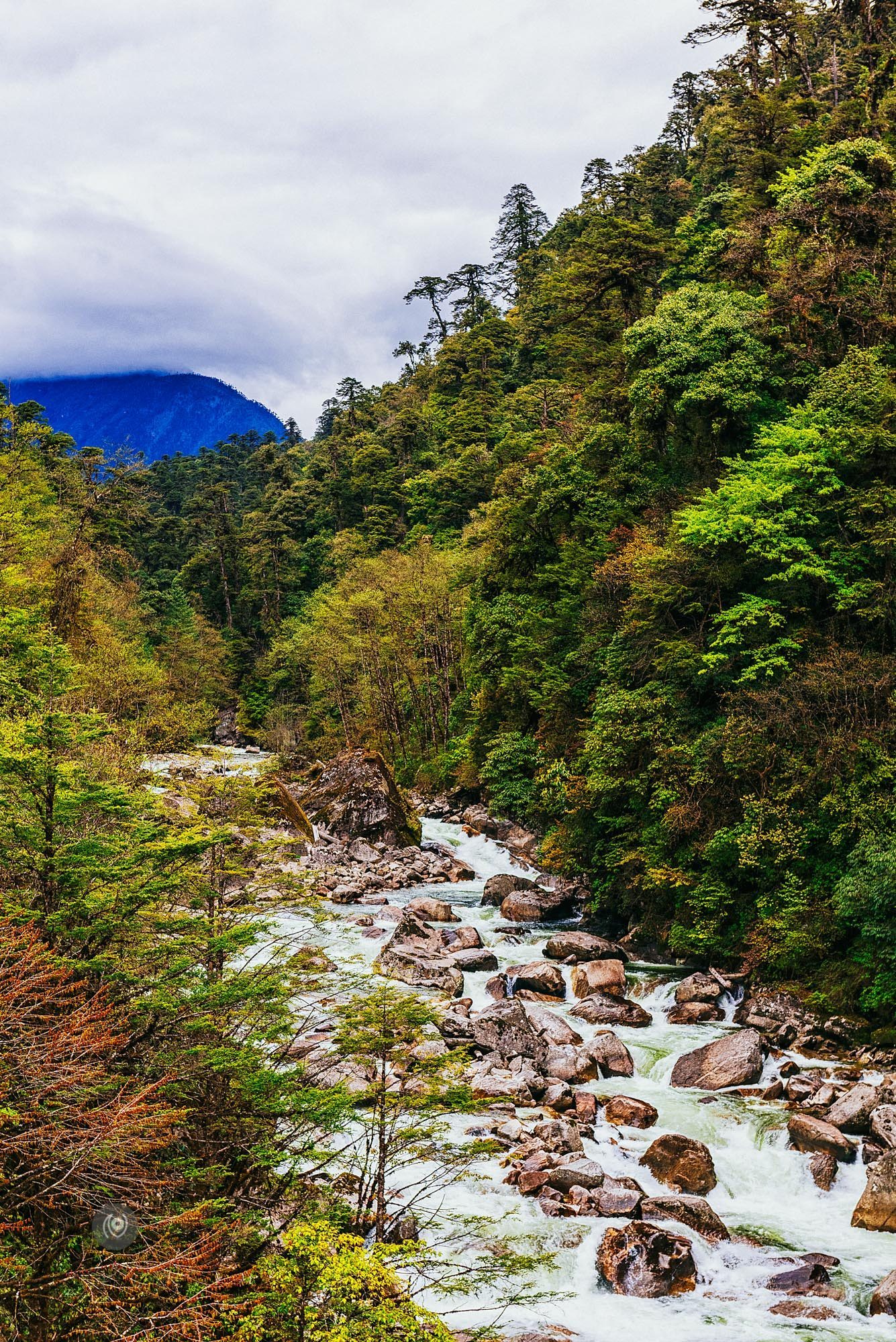 Landscape, #EyesForArunachal, Naina.co, Luxury Photographer, Lifestyle Photographer, Travel Photographer, Fashion Photographer, Naina Redhu, #EyesForDestinations, #EyesForIndia, Destination Photographer, India, Arunachal Pradesh, Experience Collector, Photo Story, Visual Experience Collector, Aalong, Aalo, Menchukha, Dorjeeling, Yorlung