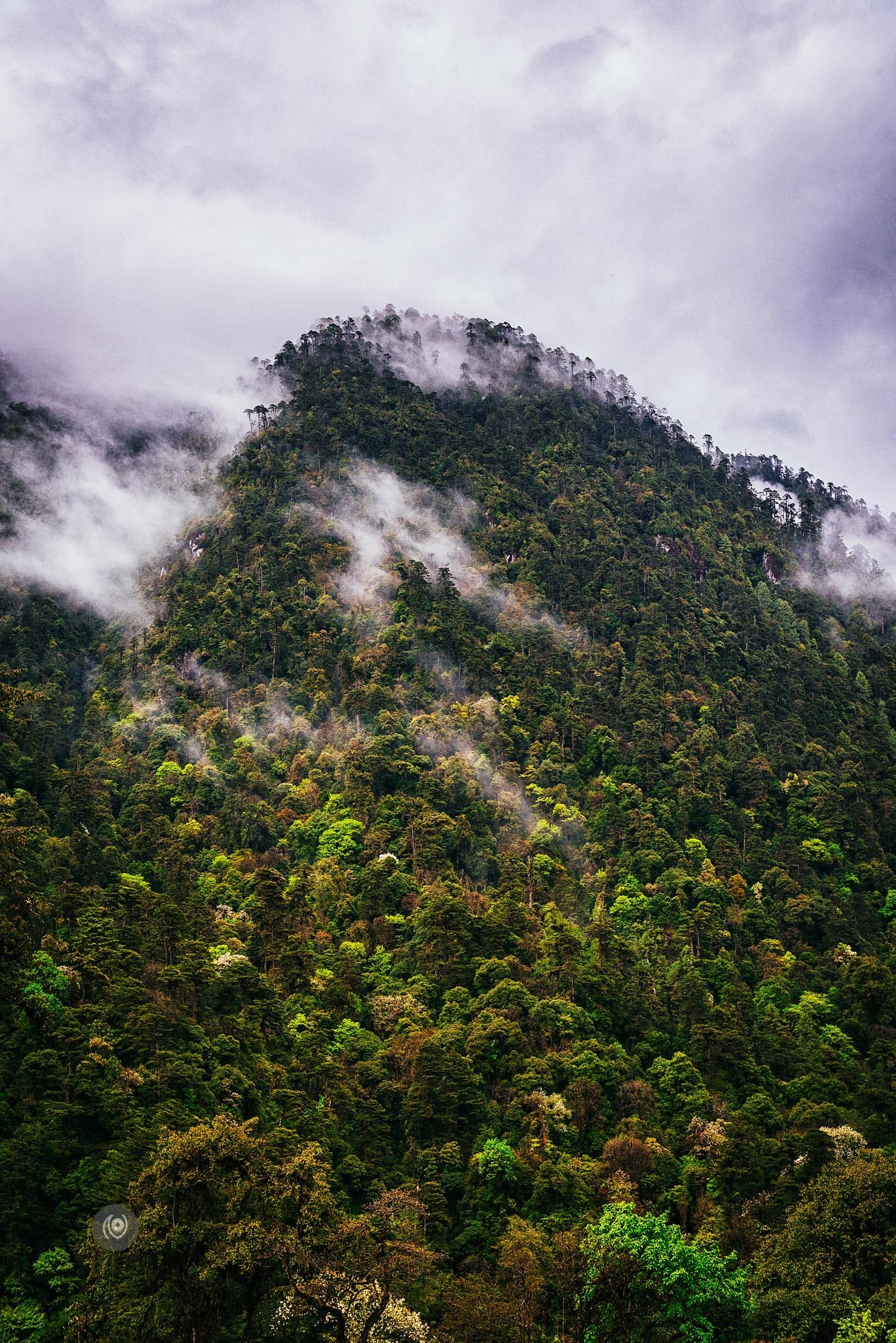 Landscape, #EyesForArunachal, Naina.co, Luxury Photographer, Lifestyle Photographer, Travel Photographer, Fashion Photographer, Naina Redhu, #EyesForDestinations, #EyesForIndia, Destination Photographer, India, Arunachal Pradesh, Experience Collector, Photo Story, Visual Experience Collector, Aalong, Aalo, Menchukha, Dorjeeling, Yorlung