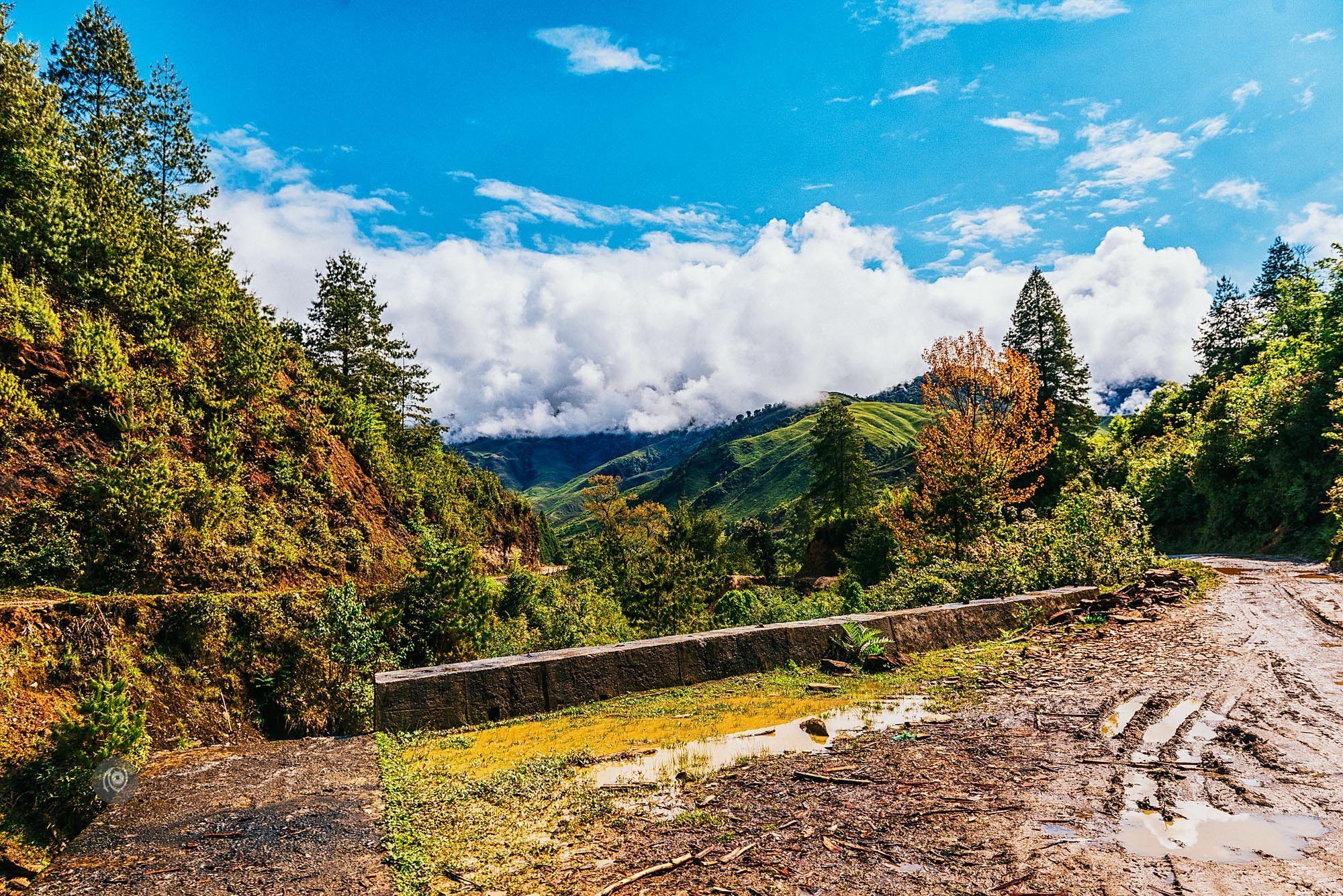 Landscape, #EyesForArunachal, Naina.co, Luxury Photographer, Lifestyle Photographer, Travel Photographer, Fashion Photographer, Naina Redhu, #EyesForDestinations, #EyesForIndia, Destination Photographer, India, Arunachal Pradesh, Experience Collector, Photo Story, Visual Experience Collector, Aalong, Aalo, Menchukha, Dorjeeling, Yorlung