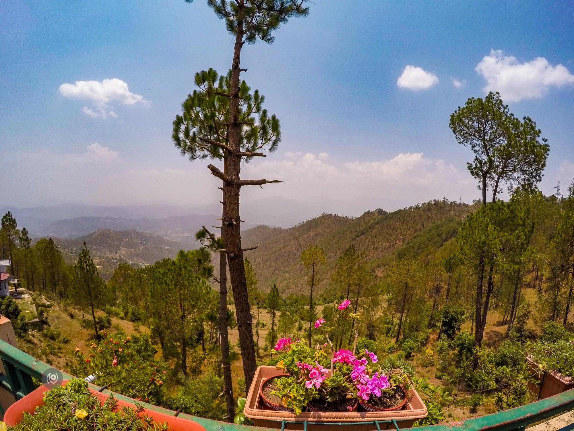 Naina.co, #NAINAxRanikhet, Ranikhet, Uttarakhand, Travel Photographer, Travel Blogger, Luxury Photographer, Luxury Blogger, Lifestyle Photographer, Lifestyle Blogger, Naina Redhu, #EyesForDestinations, #EyesForIndia, Destination Blogger, Destination Photographer