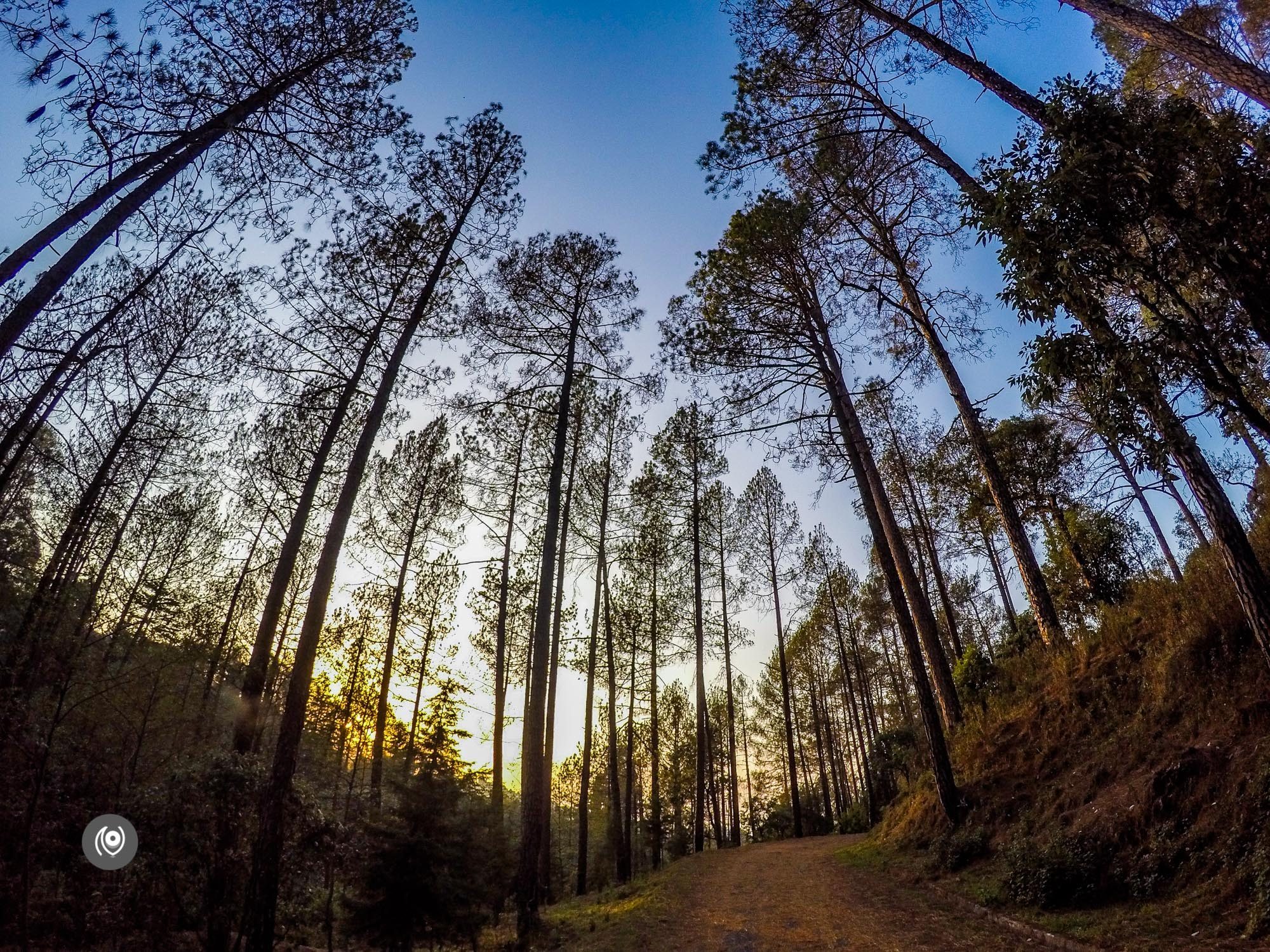 Naina.co, #NAINAxRanikhet, Ranikhet, Uttarakhand, Travel Photographer, Travel Blogger, Luxury Photographer, Luxury Blogger, Lifestyle Photographer, Lifestyle Blogger, Naina Redhu, #EyesForDestinations, #EyesForIndia, Destination Blogger, Destination Photographer