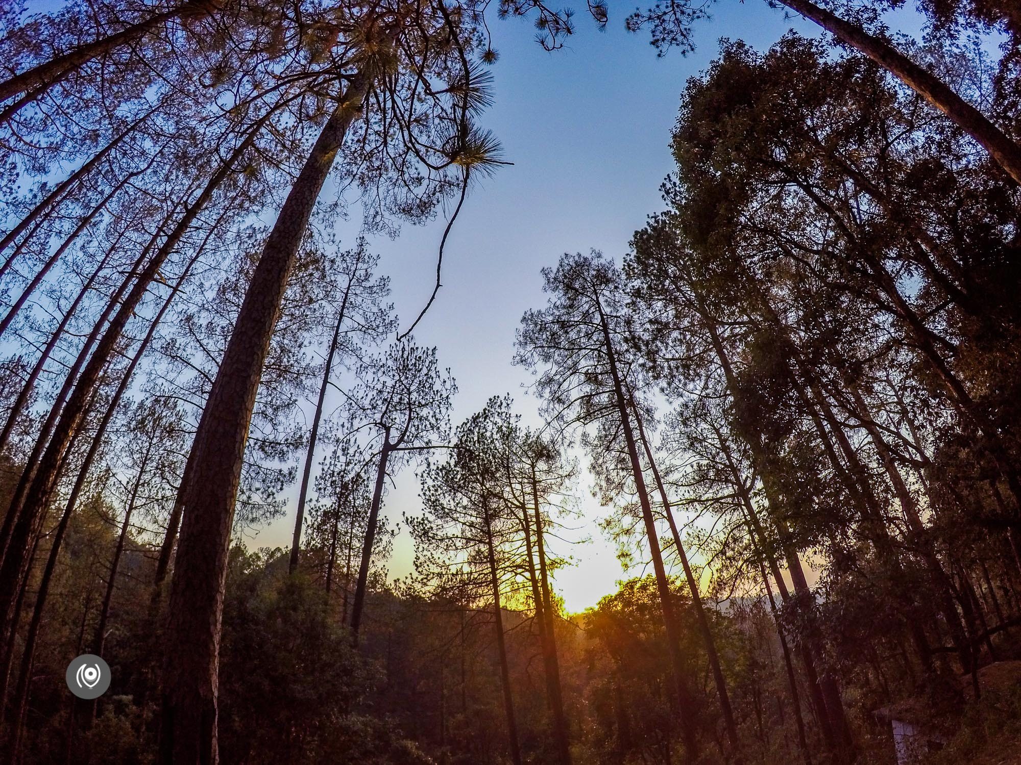 Naina.co, #NAINAxRanikhet, Ranikhet, Uttarakhand, Travel Photographer, Travel Blogger, Luxury Photographer, Luxury Blogger, Lifestyle Photographer, Lifestyle Blogger, Naina Redhu, #EyesForDestinations, #EyesForIndia, Destination Blogger, Destination Photographer