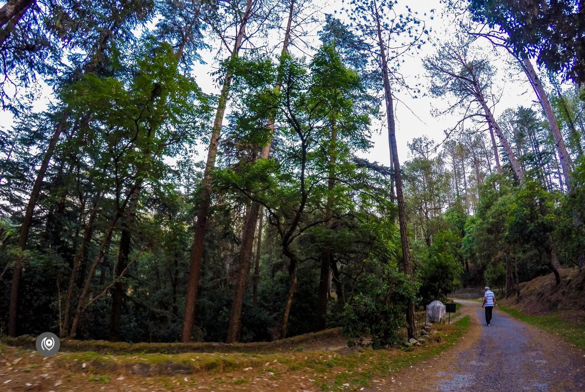 Naina.co, #NAINAxRanikhet, Ranikhet, Uttarakhand, Travel Photographer, Travel Blogger, Luxury Photographer, Luxury Blogger, Lifestyle Photographer, Lifestyle Blogger, Naina Redhu, #EyesForDestinations, #EyesForIndia, Destination Blogger, Destination Photographer