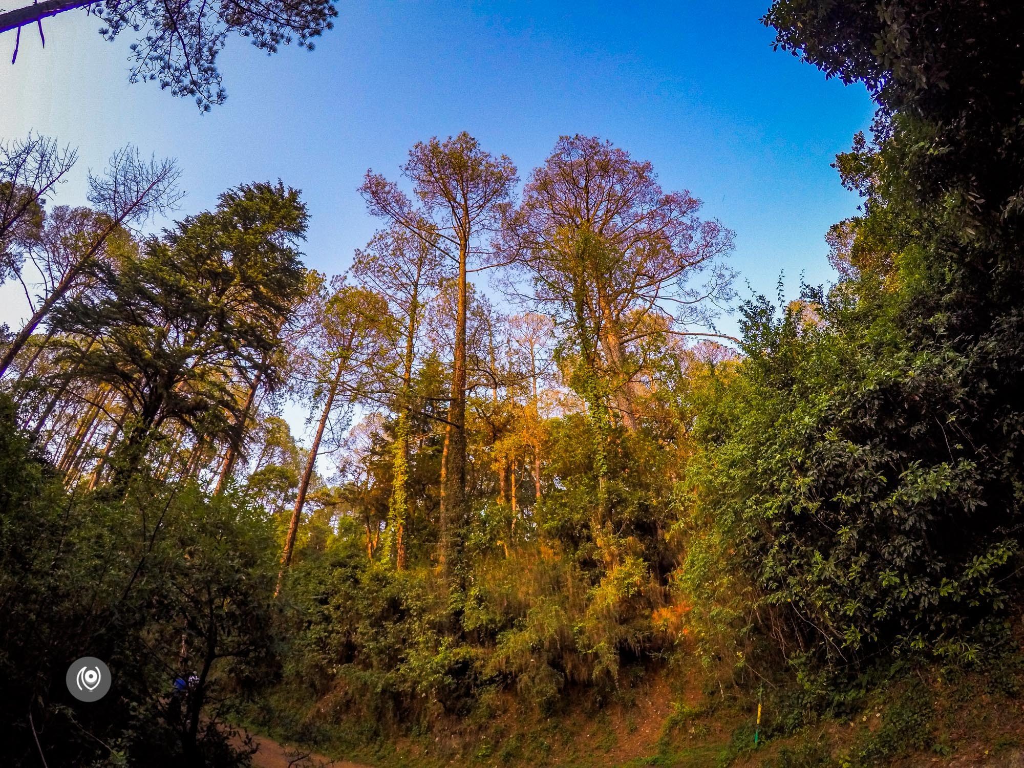 Naina.co, #NAINAxRanikhet, Ranikhet, Uttarakhand, Travel Photographer, Travel Blogger, Luxury Photographer, Luxury Blogger, Lifestyle Photographer, Lifestyle Blogger, Naina Redhu, #EyesForDestinations, #EyesForIndia, Destination Blogger, Destination Photographer