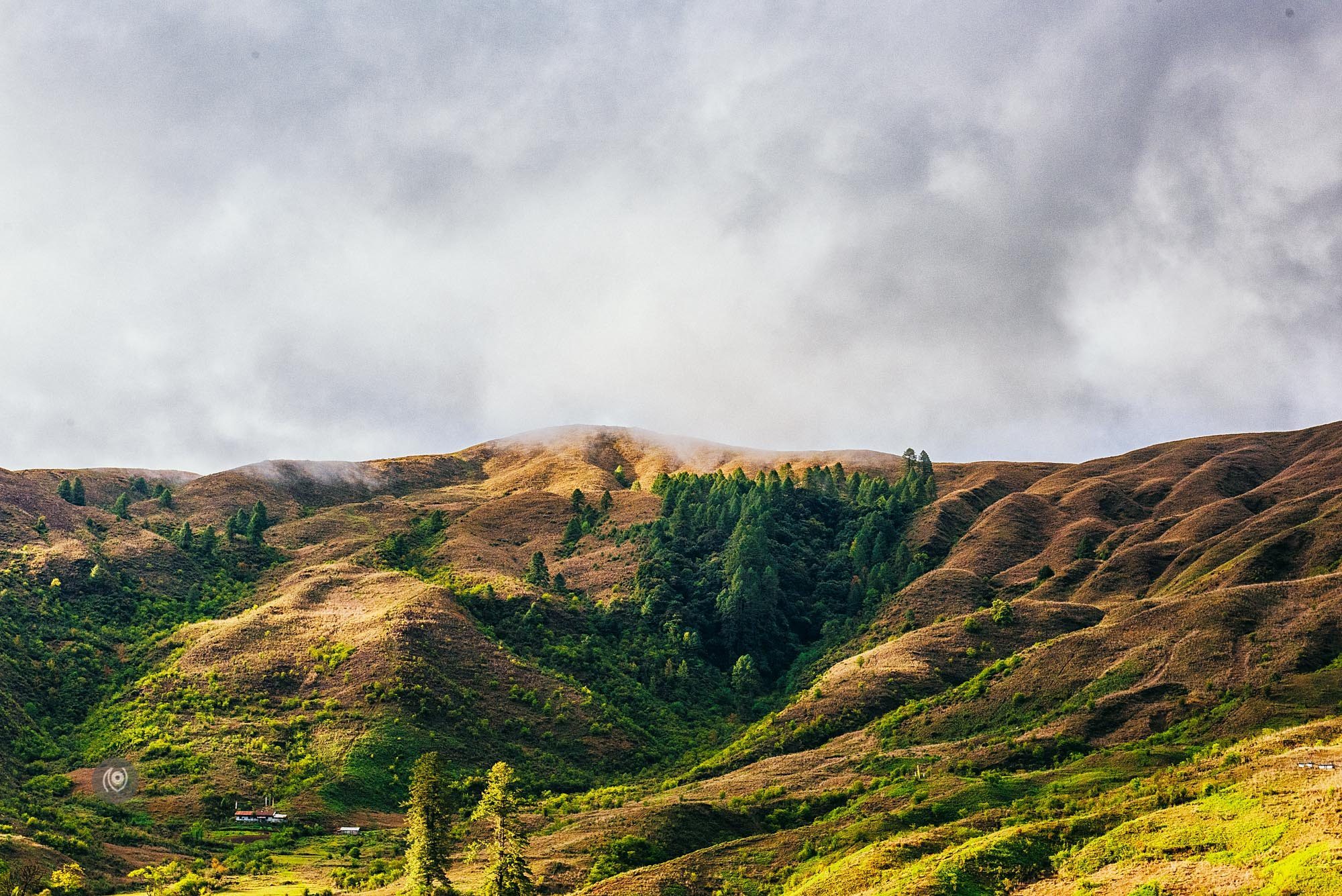 Landscape, #EyesForArunachal, Naina.co, Luxury Photographer, Lifestyle Photographer, Travel Photographer, Fashion Photographer, Naina Redhu, #EyesForDestinations, #EyesForIndia, Destination Photographer, India, Arunachal Pradesh, Experience Collector, Photo Story, Visual Experience Collector, Aalong, Aalo, Menchukha, Dorjeeling, Yorlung