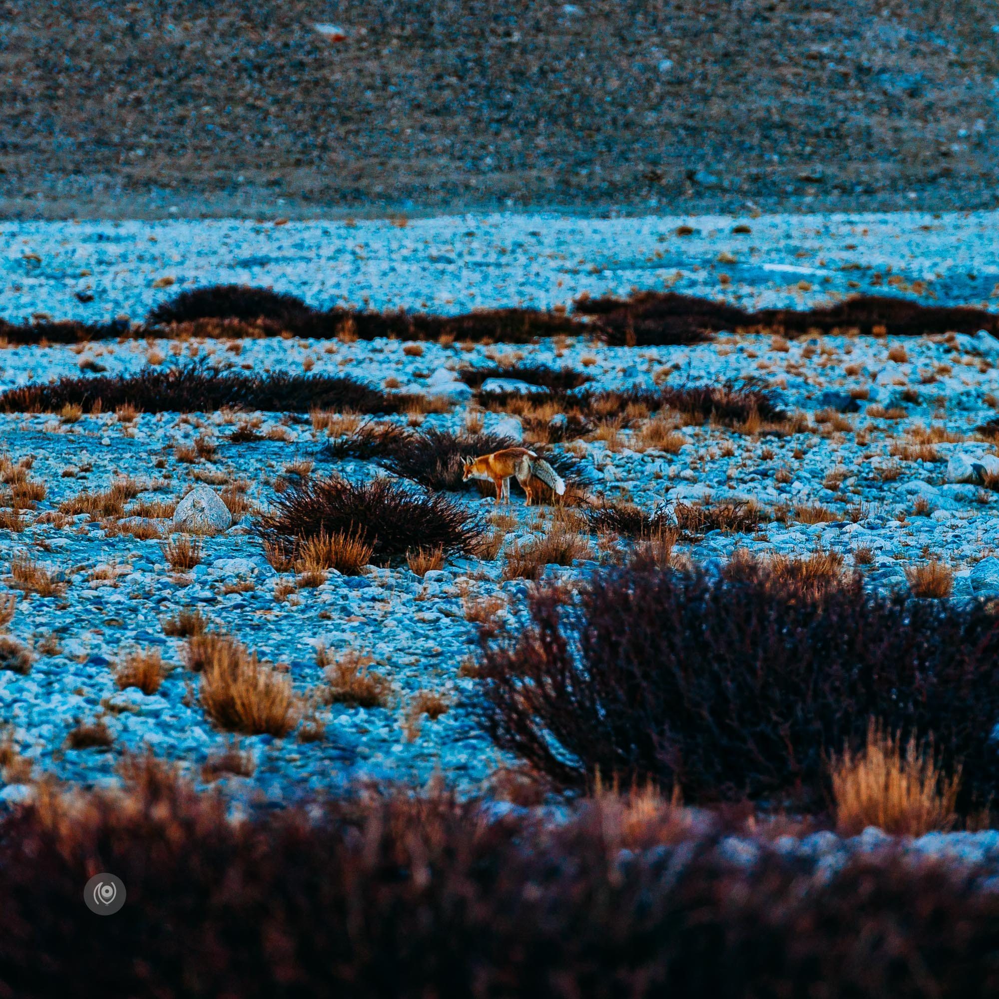 Naina.co-Ladakh-Mountains-Landscape-TheFox-Photographer-Photography-EyesforDestinations