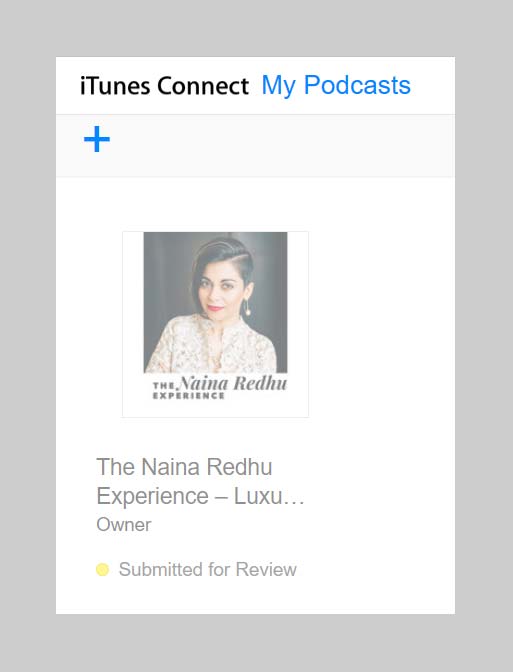 naina-co-luxury-lifestyle-photographer-blogger-podcast-thenainaredhuexperience-in-review