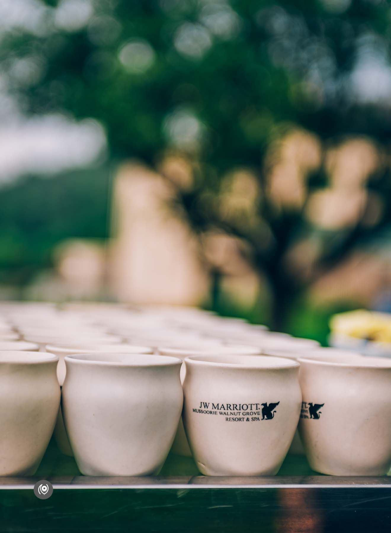 Naina Redhu, Naina.co, EyesForDestinations, EyesForDining, Mussoorie, JW Marriott, Marriott International, Walnut Grove, Resort, Spa, Cedar Spa, Teppanyaki, Teppan, Trout Grill, Bar, JW Cafe, Uttarakhand, Mussoorie, Tourism, Travel, India, EyesForIndia, Content Strategist, Content Strategy, Incredible India, Digital Strategy, Online Strategy, Content Queen, Marriott Mussoorie, Food, Restaurant, Massage, Content Queen, Lifestyle Photographer, Photography, Professional Photographer, Lifestyle Blogger, Lifestyle Content, Travel Blogger, Travel Photographer, Travel Content, Hospitality, Hotel