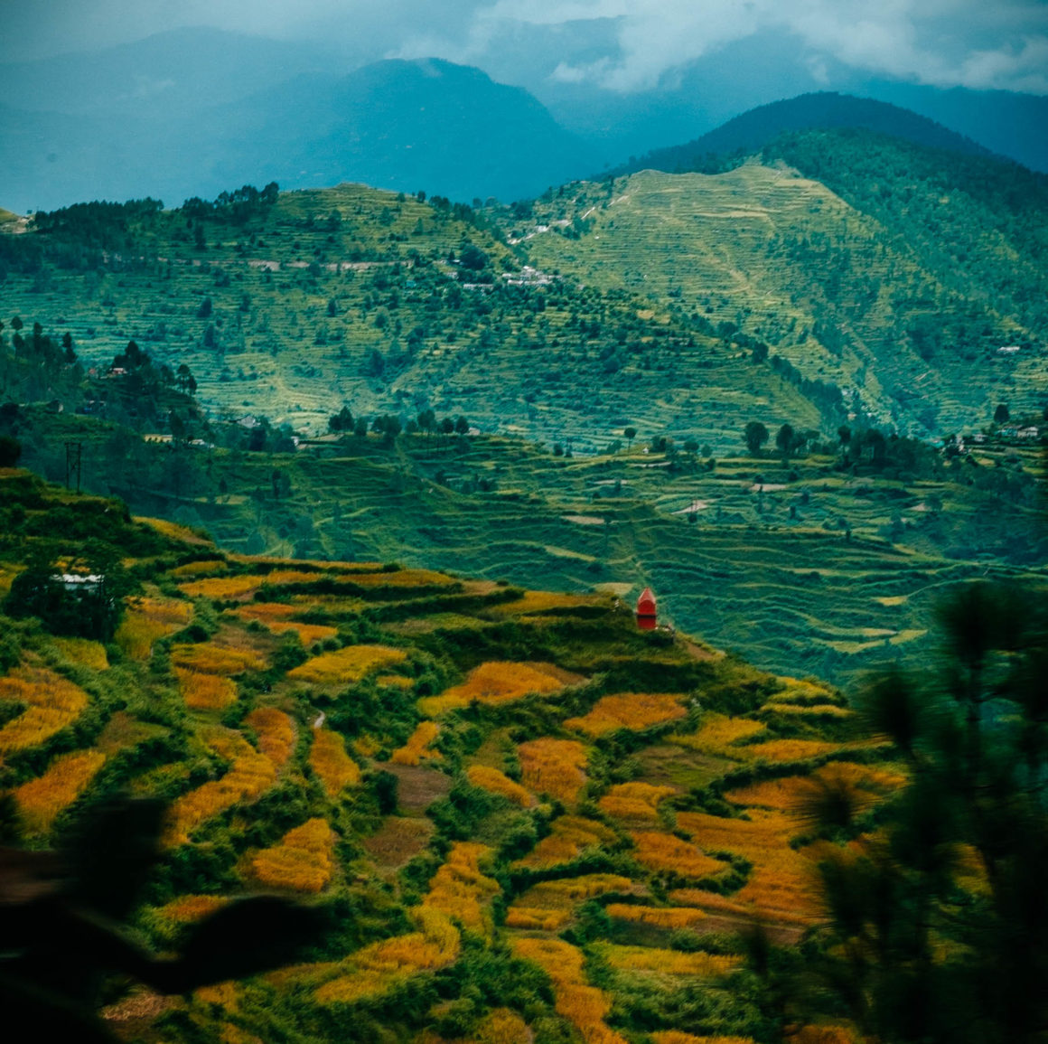 Ranikhet, Uttarakhand, EyesForDestinations, EyesForIndia, EyesForRanikhet, EyesForUttarakhand, NainaxRanikhet, Travel Photographer, Destination Photographer, Travel Photography, Destination Photography, Resort, Hospitality, Lifestyle, Travel Blogger, Lifestyle Blogger, Vacation, Road Trip, India, Professional Photographer, Luxury, Lifestyle, Blogger, Feature, Story, Landscape Photographs, Landscape Photographer India, Landscape Photographer