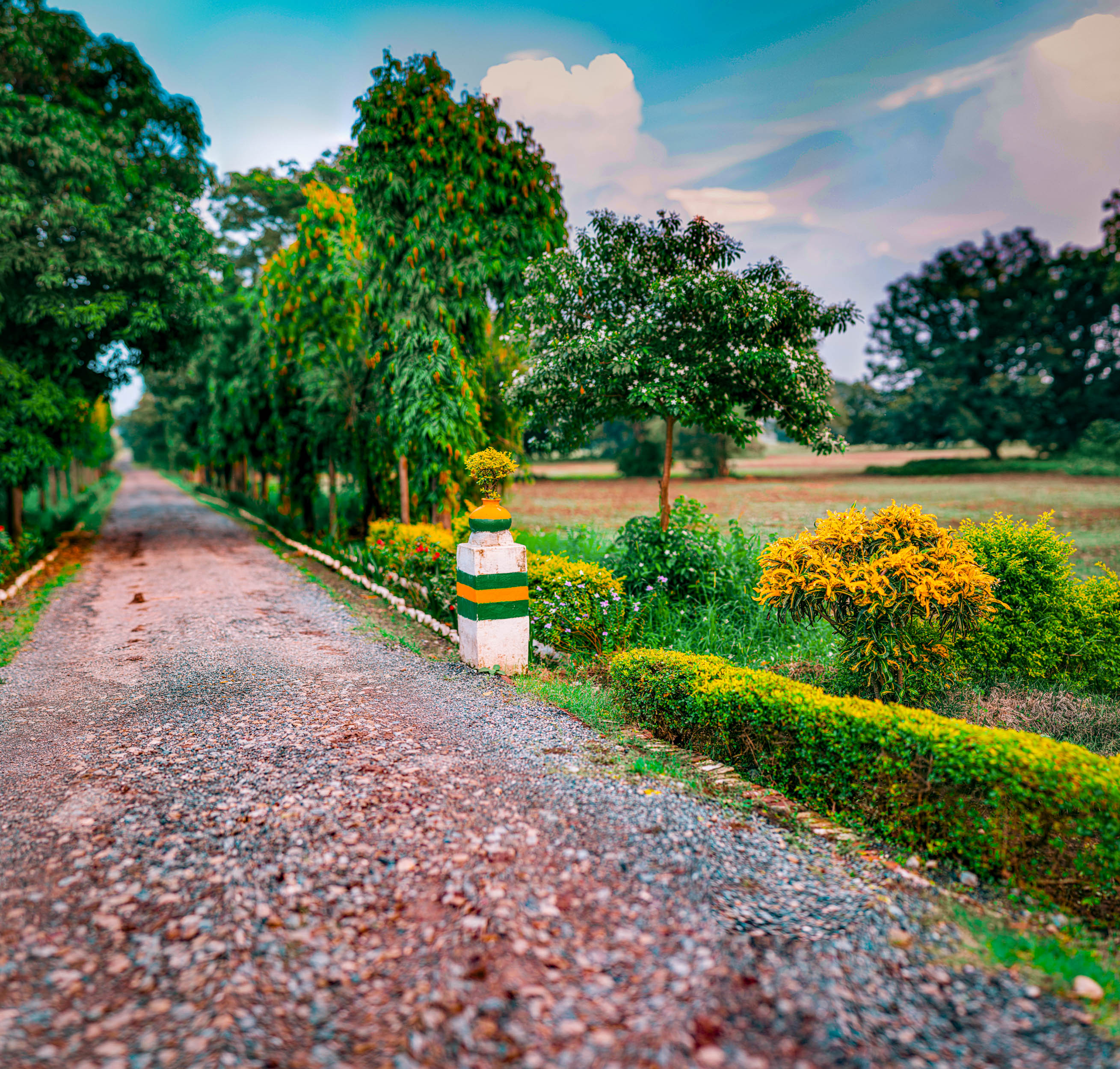 #EyesForDestinations, #EyesForIndia, #NAINAxRanikhet, architecture photography, Destination Photography, Landscape Photographer, Large Format Plate, naina redhu, naina.co, objects of vacation, professional photographer, ranikhet, Ranikhet Movie Theater, Square Format, The Queen's Meadow, uttarakhand, vacation objects, vacationobjects, gate, kumaon