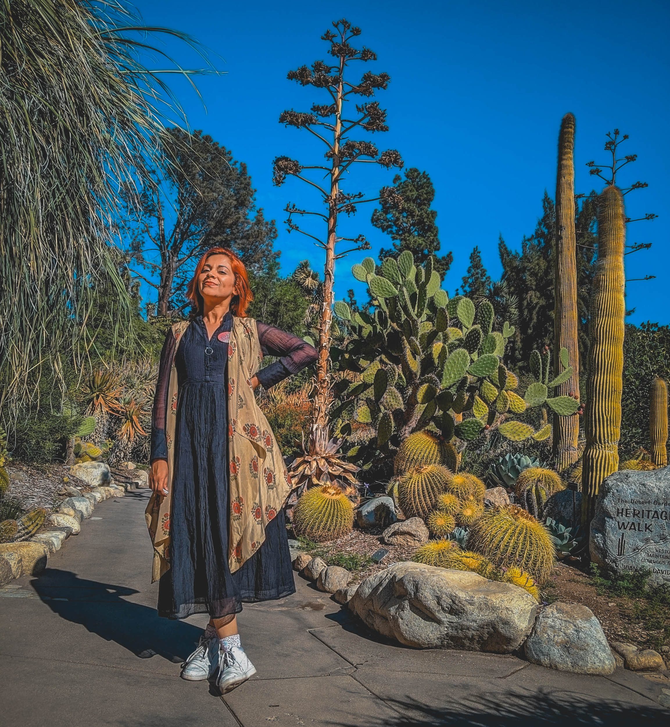 #EyesForLA, America, Los Angeles, naina redhu, naina.co, usa, huntington library and botanical gardens, huntington botanical gardens, huntington botanical gardens los angeles, succulents, cactus, cacti, garden benches, sunset, desert garden, haworthia, haworthiopsis, gasteria, prickly pear, plants, trees, conservation, ecology, orchids, chrysanthemums, flower show, flowers, cactus flowers, stinky flowers, california, california plants, agave, aloe vera, succulent garden, finger lime, eyesfordestinations, eyes for destinations, koi pond, fish, flower photography, plant photography, flower close-ups, plant close-ups, succulent close ups, succulent photography, lifestyle photographer, travel photographer,