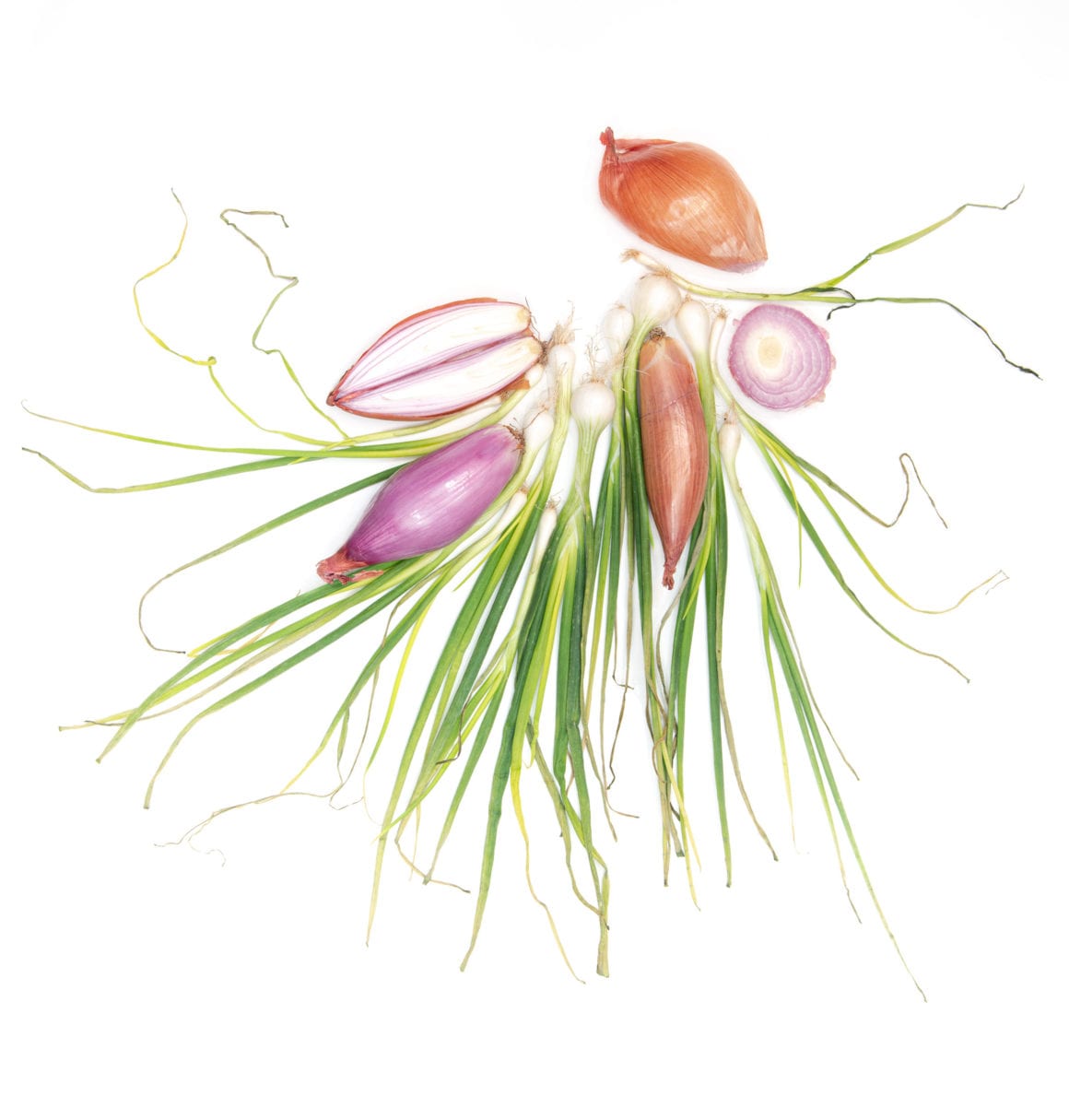 photograph of shallots, photograph of onions, photograph of spring onions, onion, shallot, spring onion, vegetables, still photographer, still life photography, white background, green, purple, naina.co, naina.com, naina redhu, lifestyle photographer india, still life photographer india